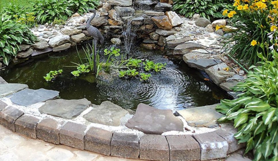 benodigdheden tout sur les étangs