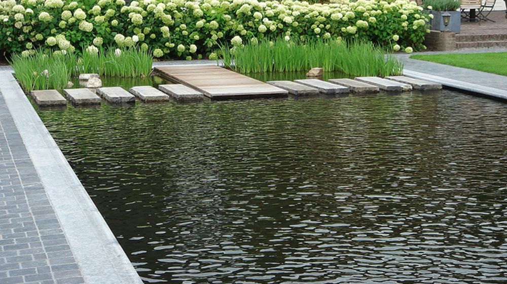 zwemvijver mooi piscine choisir