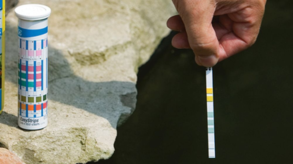 watertest tout sur les étangs