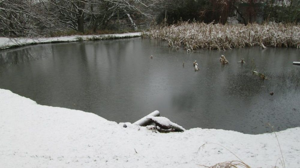 winter VIJVER ONDERHOUDEN