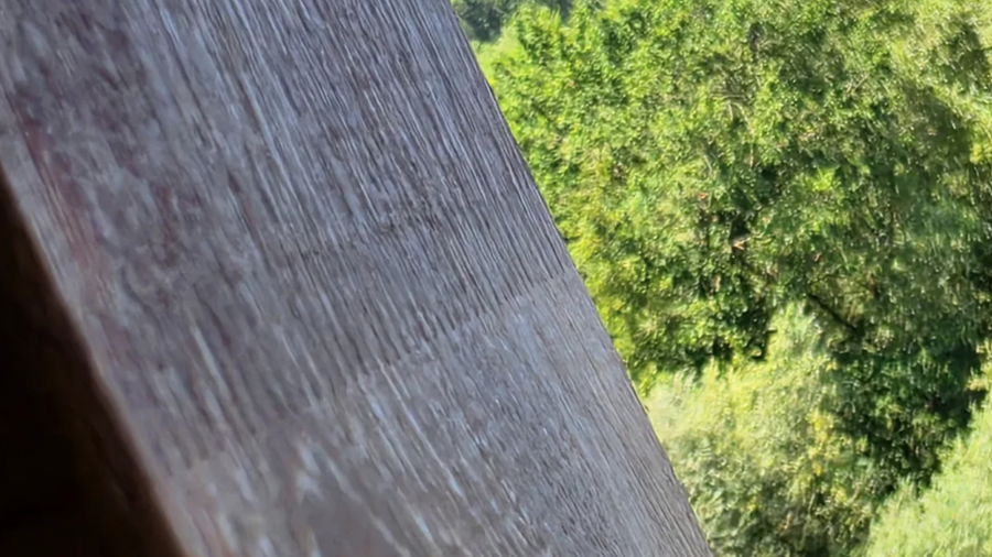 Van dichtbij toont het onbehandelde Guariuba zijn natuurlijke houtstructuur