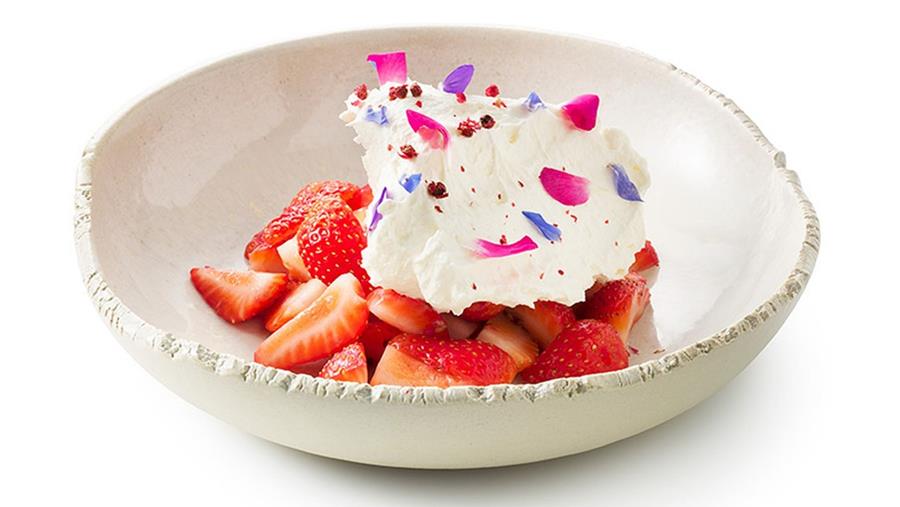 Debic Room Plus Mascarpone
